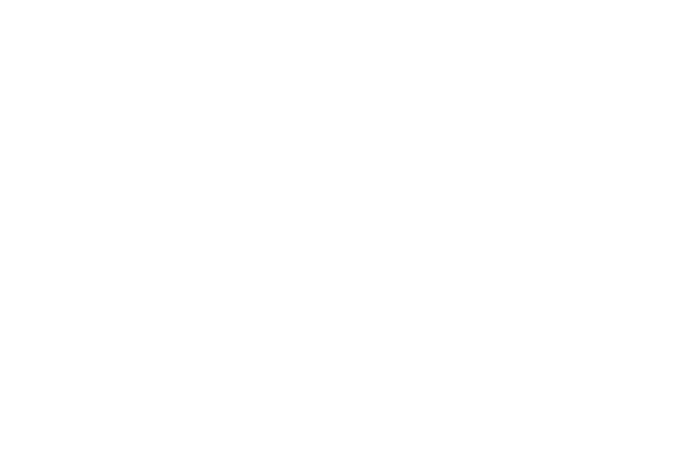 Silver Horizon Immigration Consultancy Services